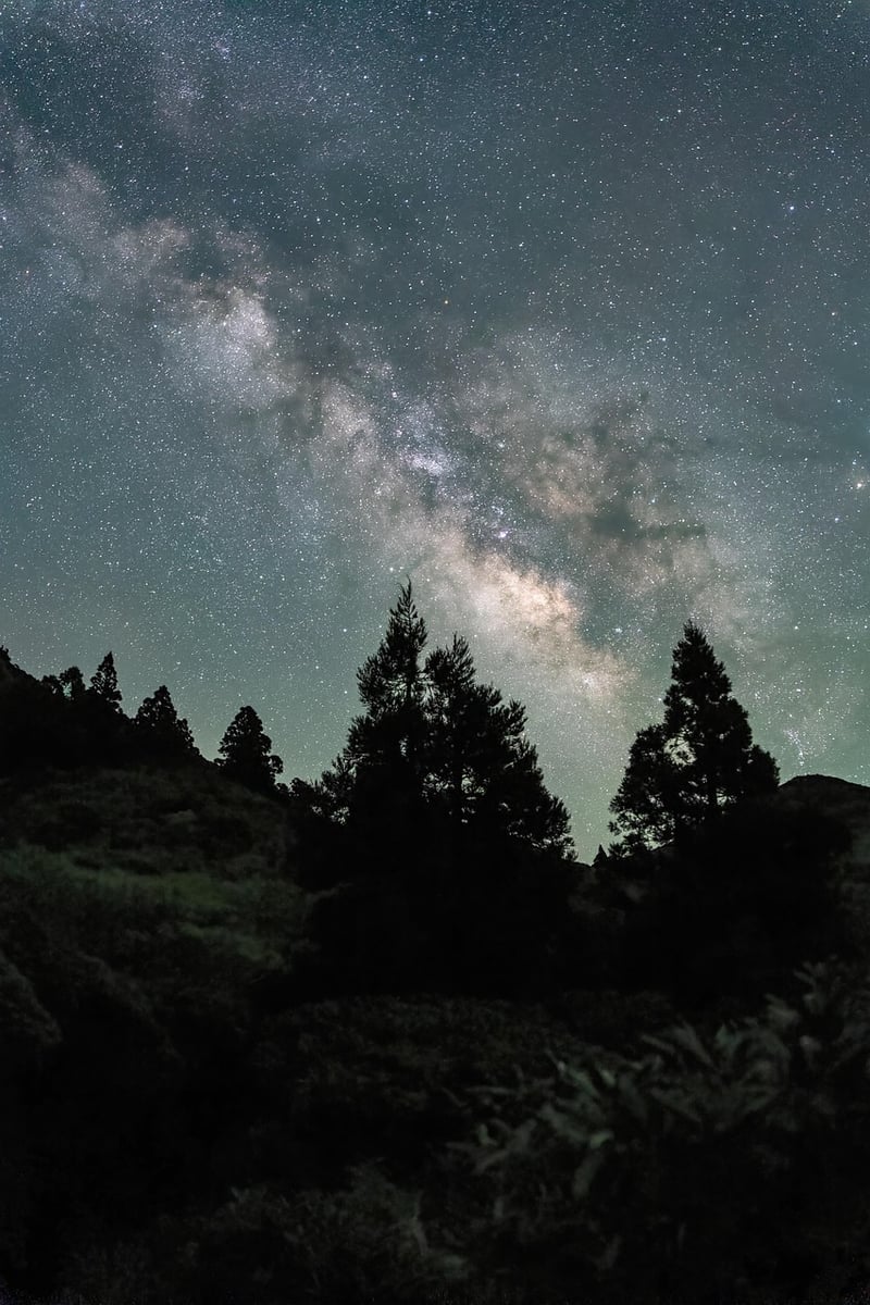 Starry Night Lighting